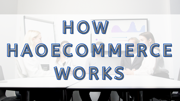 How HaoEcommerce works